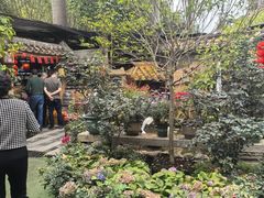 -园林美食城·本土农家菜(杨和镇店)