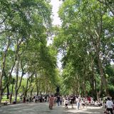 古逍遥津[胜利]转一转~