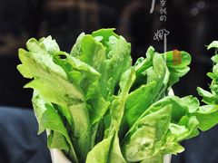 茼蒿-浩爷羊蝎子火锅(望京店)