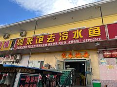 -煲来饱去冷水鱼