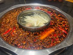 -一斗火锅·招财羊毛肚(北温泉九号店)