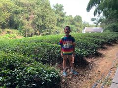 -敬亭山风景名胜区