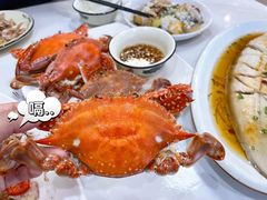 -芦潮港集贸市场