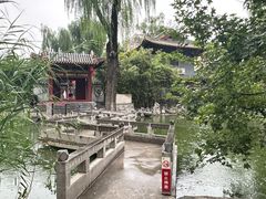 -碑林公园