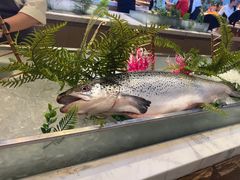 -冀粤香海鲜自助餐厅(西美五洲店)