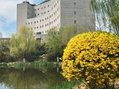 -丁家河公园