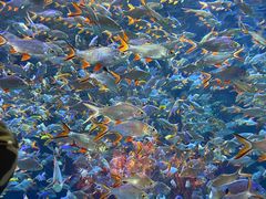 -成都浩海立方海洋公园