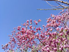 -积水潭(地铁站)