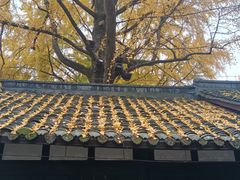 -海马体照相馆(成都来福士广场店)