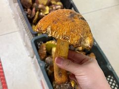-双喜农庄·菌香园(安居家园店)