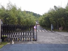 -都江堰中华大熊猫苑