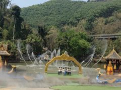 -西双版纳原始森林公园