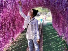 -长洲岛都市农业公园