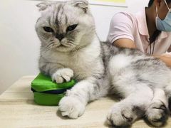 -猫音日语留学培训