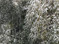 -天目湖涵田度假村