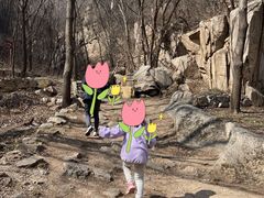 -大岭沟猕猴桃谷风景区