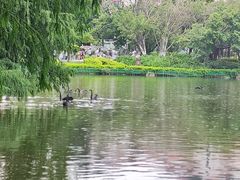 -臻爱住家月嫂育儿嫂(万达店)