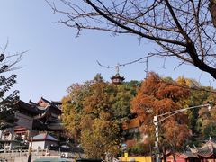 -鸡鸣赐茶(鸡鸣寺路店)