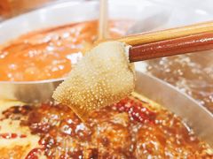 -陳艳红火锅(港汇店)