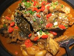 甲鱼牛蛙锅-洪湘记川湘·甲鱼馆(四海凯悦美食广场店)