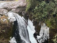 -龙苍沟森林公园