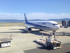 -全日本空输株式会社(上海办事处)