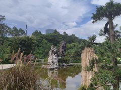 -东莞植物园