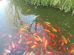 -陈云纪念馆