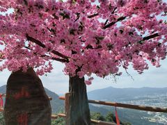 -东莞观音山旅游风景区