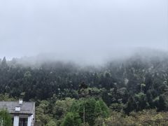 -武陵山森林公园