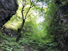 -塔云山