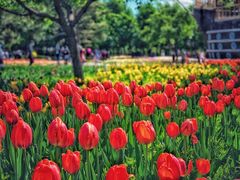 -长春公园(普阳街道)