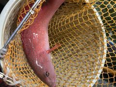 -小海豚•老字号海鲜餐厅(天涯店)