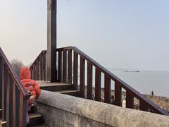 -上海滨江森林公园