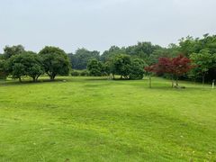 -宜兴龙背山森林公园