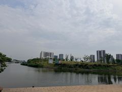 -嘉定紫藤园