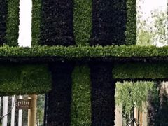 -武清南湖绿博园