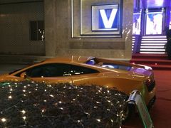 -V-SHOW主题KTV(新城店)