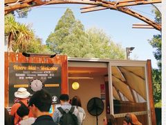 -怀托摩萤火虫洞