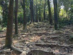 -火炉山森林公园