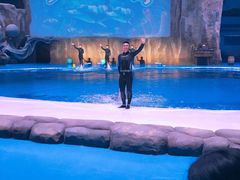 -华夏文旅海洋公园