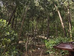 -云龙山