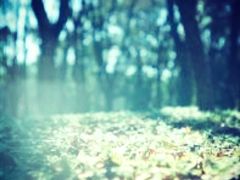 -reading cafe瑞汀咖啡(新华路店)