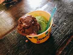 -莓园冰淇淋店