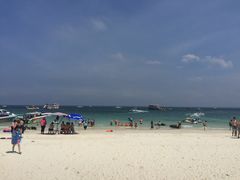 -月光岛