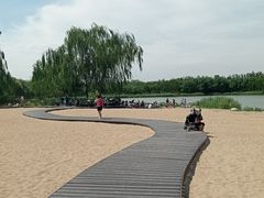 -大兴滨河森林公园