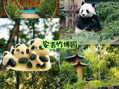 -中国大竹海景区