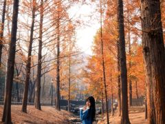 -白水寺森林公园