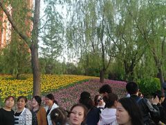 -迎泽公园