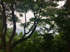 -雨花胜境